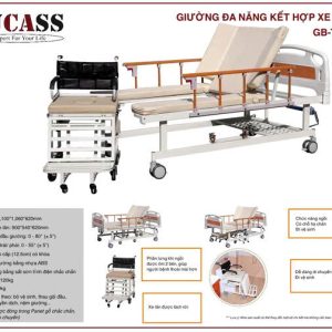 Giường bệnh đa năng tay quay GB-T243 (C-243)